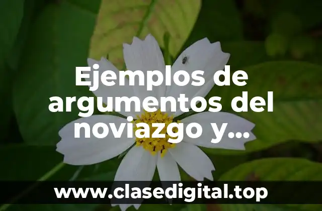 Ejemplos de argumentos del noviazgo