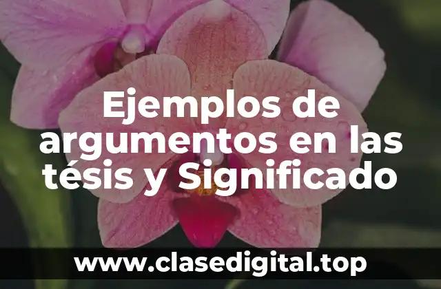 Ejemplos de argumentos en las tésis