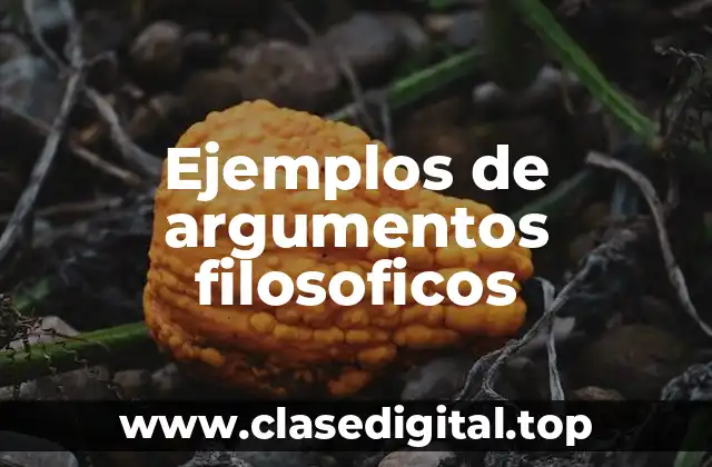 Ejemplos de argumentos filosoficos