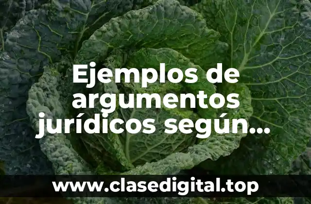 Ejemplos de argumentos jurídicos según Toulmin y Significado