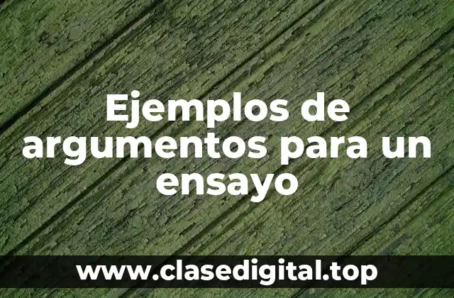 Ejemplos de argumentos para un ensayo
