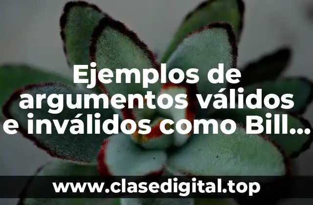 Ejemplos de argumentos válidos
