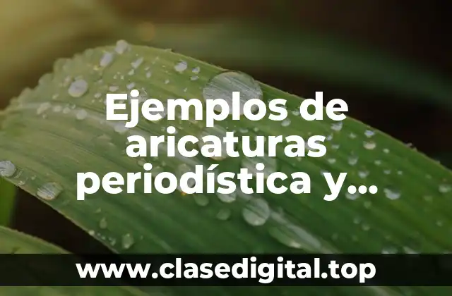 Ejemplos de aricaturas periodística y Significado