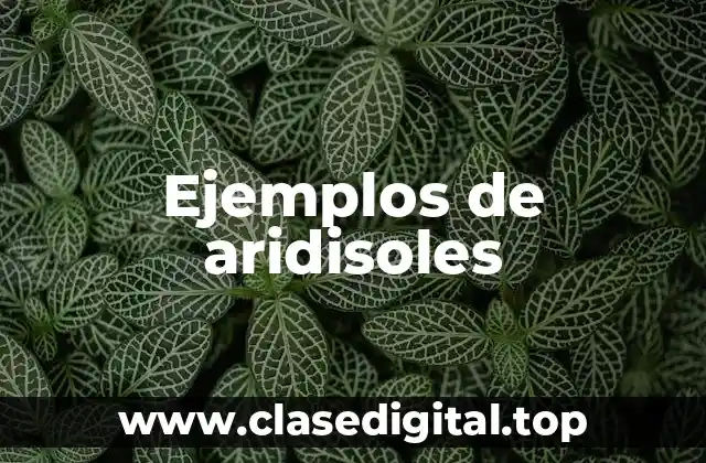 Ejemplos de aridisoles