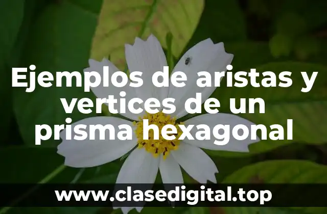 Ejemplos de aristas y vertices de un prisma hexagonal
