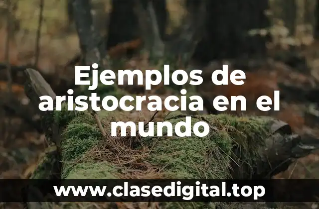 Ejemplos de aristocracia