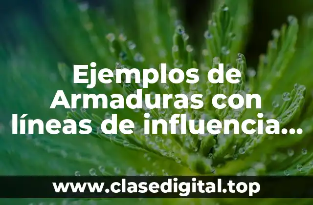 Ejemplos de Armaduras con líneas de influencia resueltos