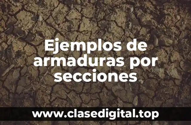 Ejemplos de armaduras por secciones