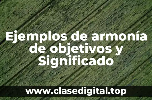 Ejemplos de armonía de objetivos y Significado