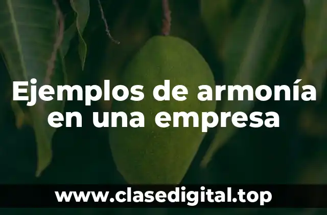 Ejemplos de armonía en una empresa
