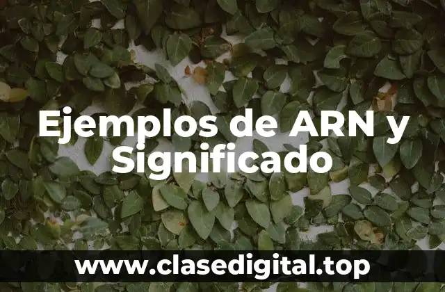 Ejemplos de ARN y Significado