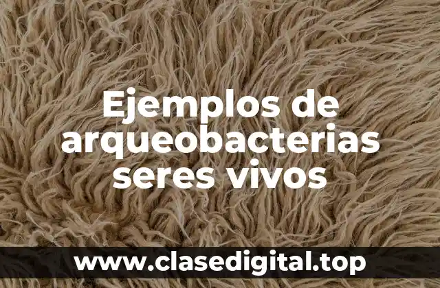 Ejemplos de arqueobacterias seres vivos