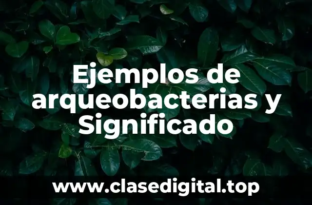 Ejemplos de arqueobacterias y Significado
