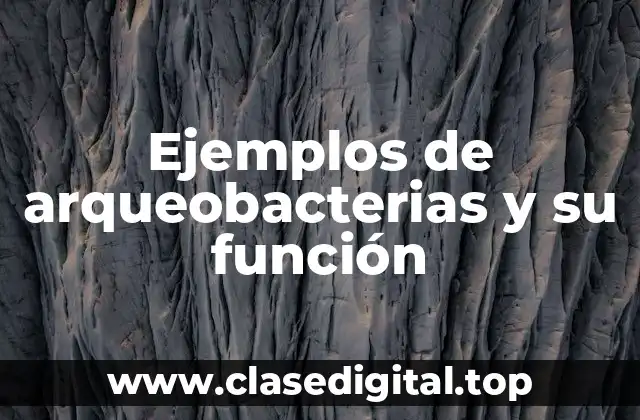 Ejemplos de arqueobacterias y su función