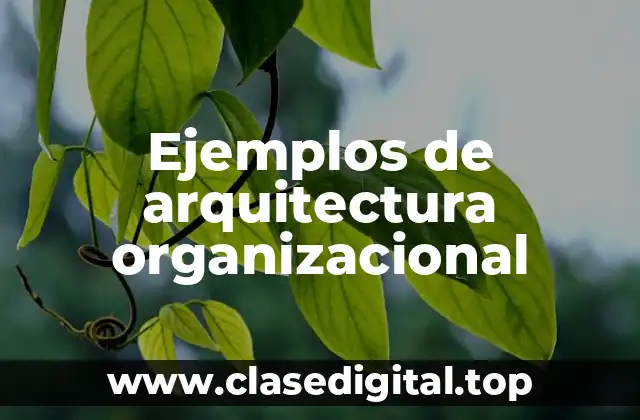 Ejemplos de arquitectura organizacional
