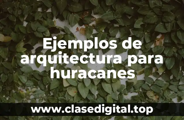 Ejemplos de arquitectura para huracanes
