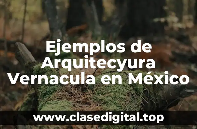 Ejemplos de Arquitecyura Vernacula en México