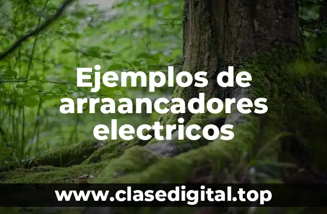 Ejemplos de arraancadores electricos