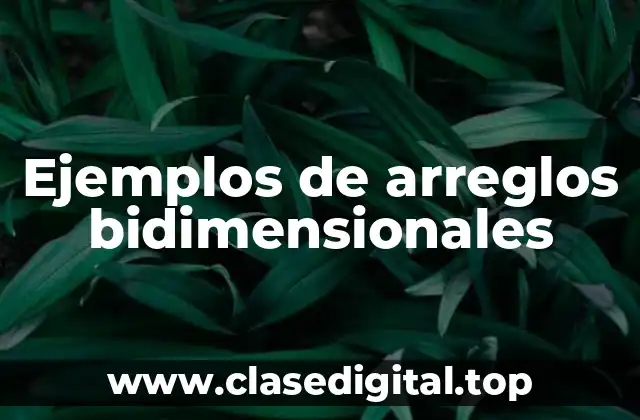 Ejemplos de arreglos bidimensionales