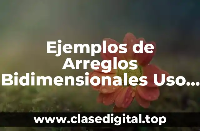 Ejemplos de Arreglos Bidimensionales Uso y Significado