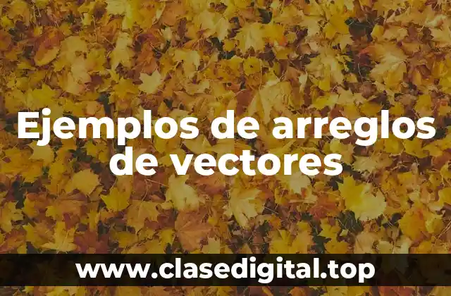 Ejemplos de arreglos de vectores
