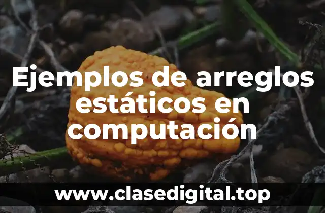 Ejemplos de arreglos estáticos en computación