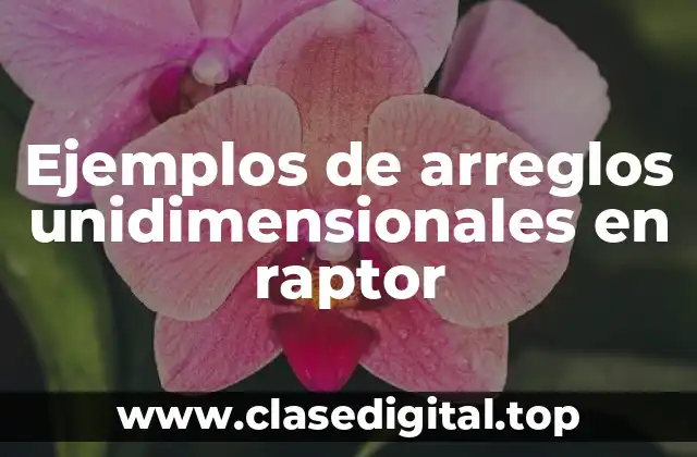 Ejemplos de arreglos unidimensionales en raptor