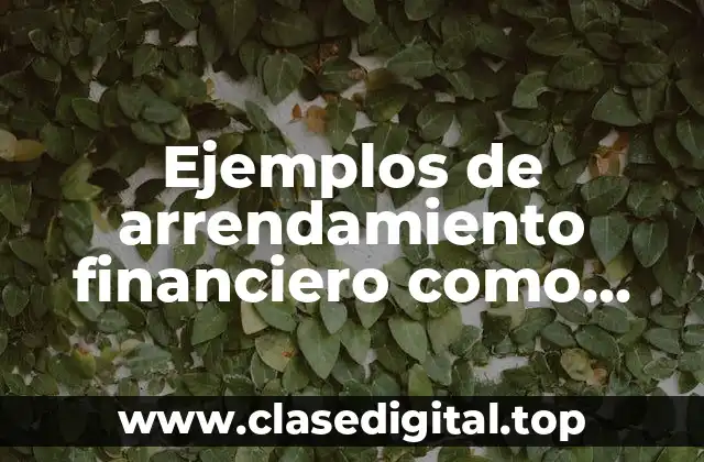 Ejemplos de arrendamiento financiero