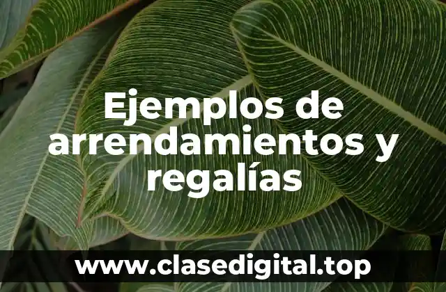 Ejemplos de arrendamientos y regalías