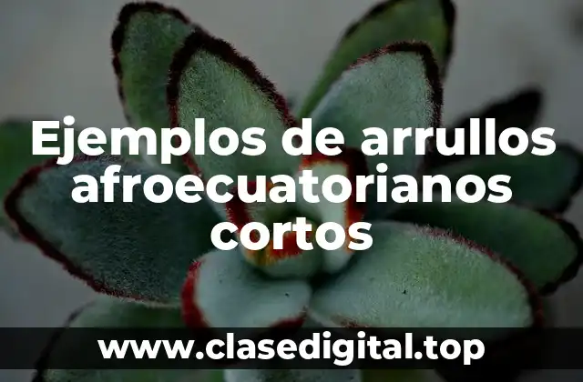 Ejemplos de arrullos afroecuatorianos cortos