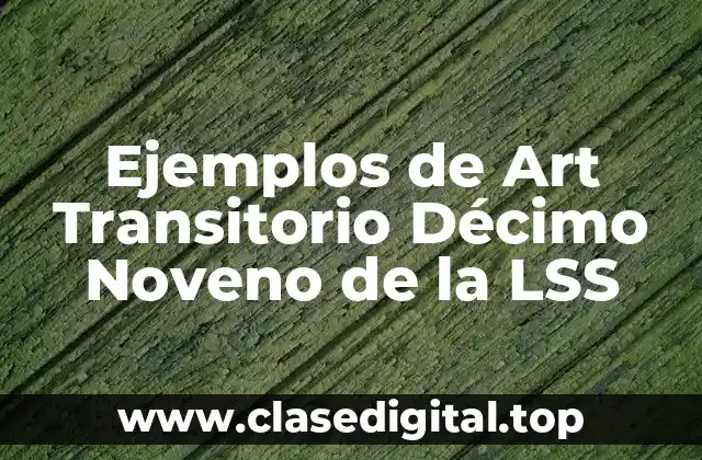 Ejemplos de Art Transitorio Décimo Noveno de la LSS