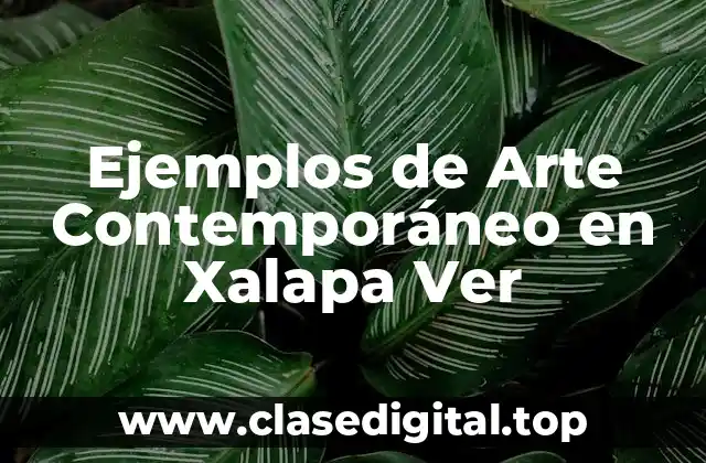 Ejemplos de Arte Contemporáneo en Xalapa Ver