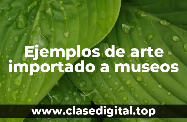 Ejemplos de arte importado a museos