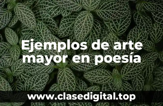 Ejemplos de arte mayor en poesía