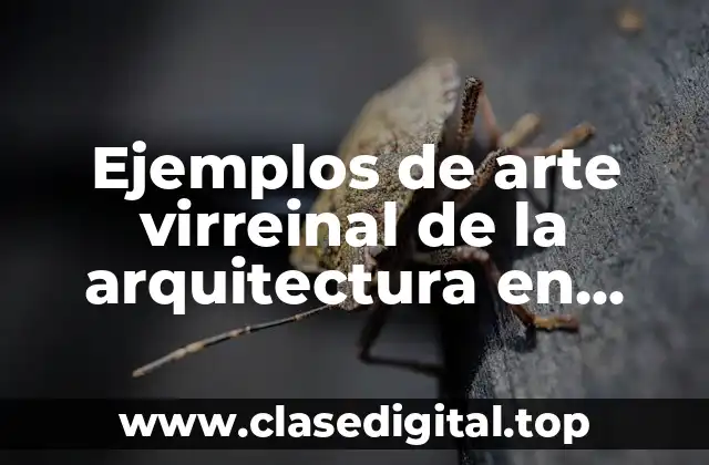 Ejemplos de arte virreinal de la arquitectura en Chihuahua