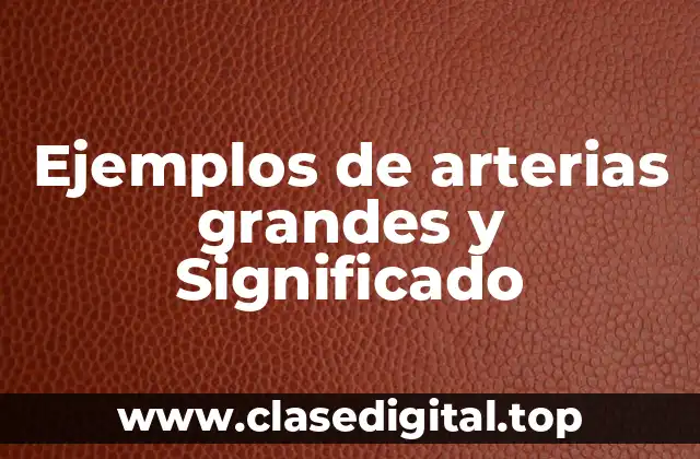 Ejemplos de arterias grandes y Significado