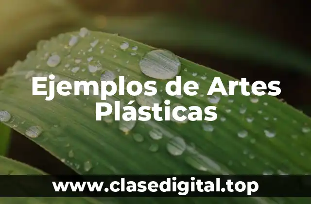Ejemplos de Artes Plásticas