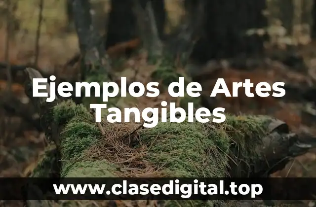 Ejemplos de Artes Tangibles