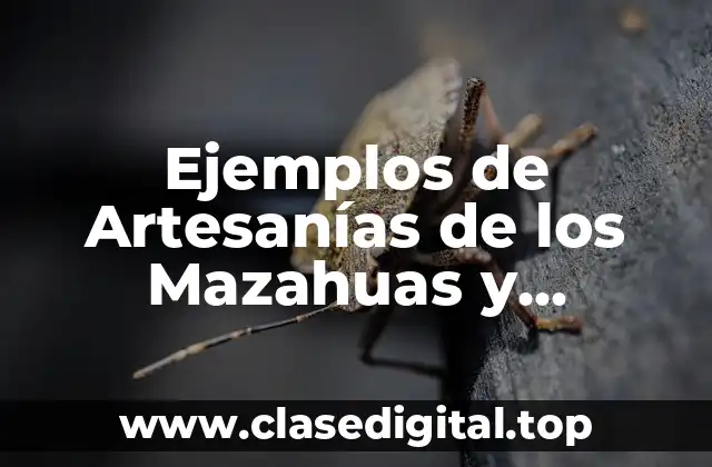 Ejemplos de Artesanías de los Mazahuas y Significado