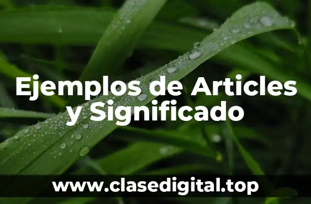 Ejemplos de Articles y Significado