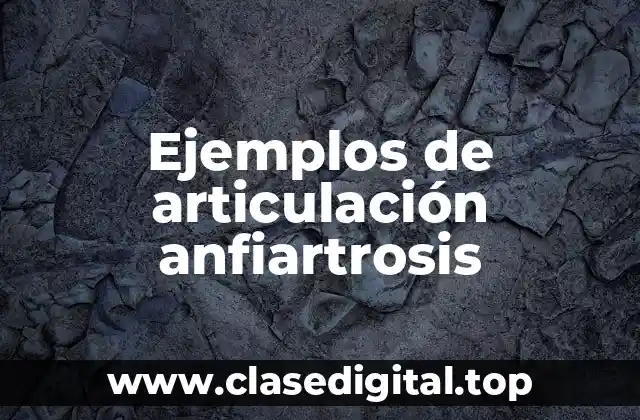 Ejemplos de articulación anfiartrosis