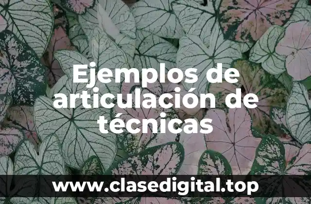 Ejemplos de articulación de técnicas