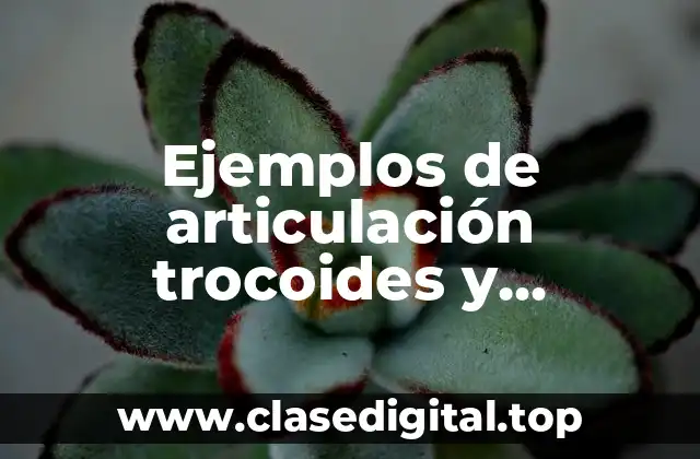 Ejemplos de articulación trocoides y Significado