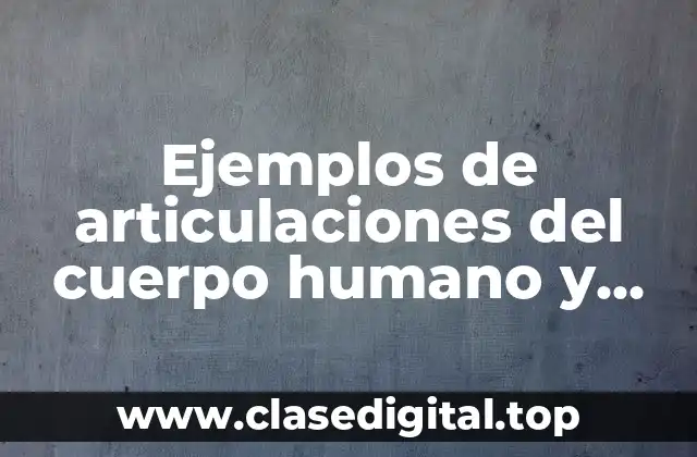 Ejemplos de articulaciones del cuerpo humano y Significado