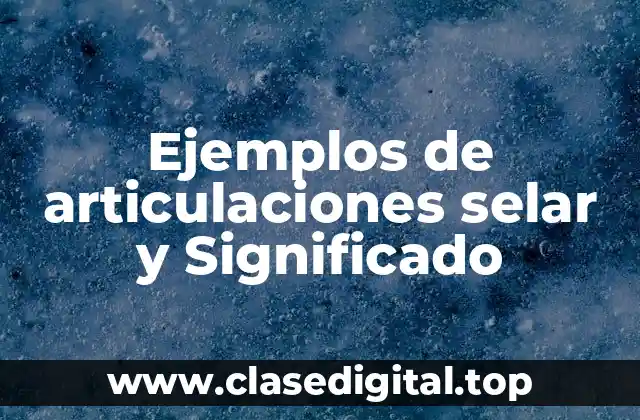 Ejemplos de articulaciones selar