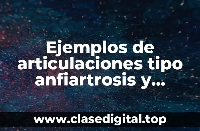 Ejemplos de articulaciones tipo anfiartrosis y Significado