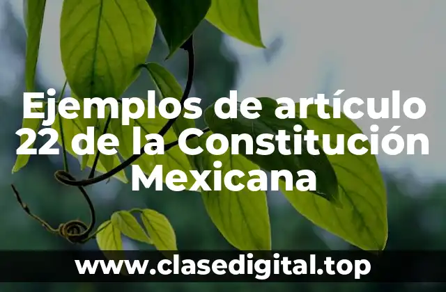 Ejemplos de artículo 22 de la Constitución Mexicana