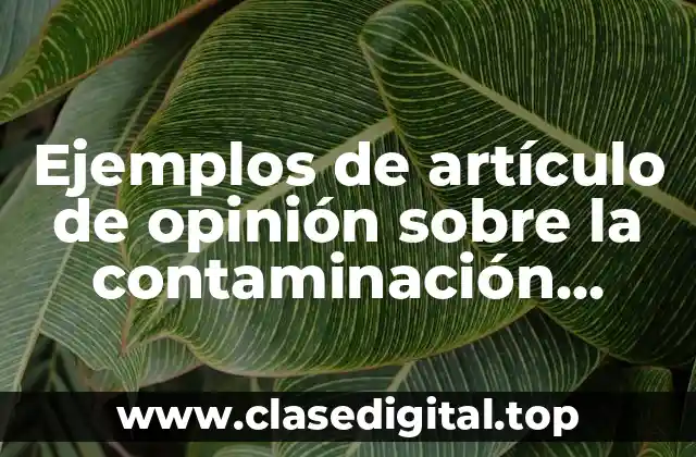 Ejemplos de artículo de opinión sobre la contaminación ambiental