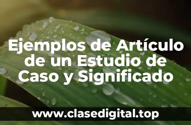Ejemplos de Artículos de Estudios de Caso
