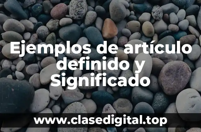 Ejemplos de artículo definido y Significado